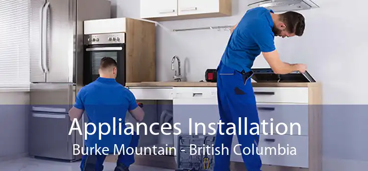 Appliances Installation Burke Mountain - British Columbia