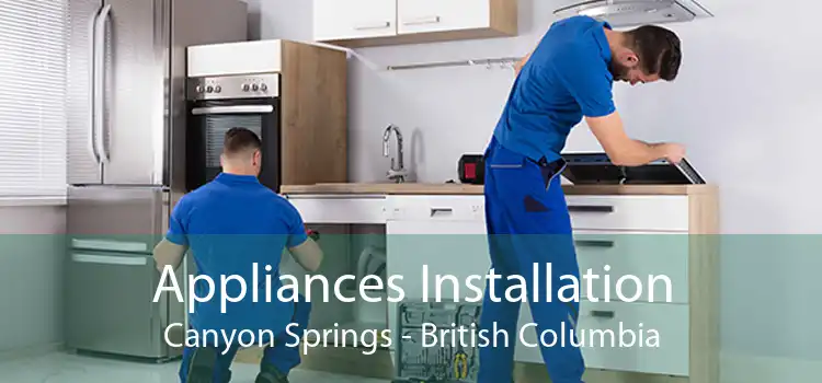 Appliances Installation Canyon Springs - British Columbia