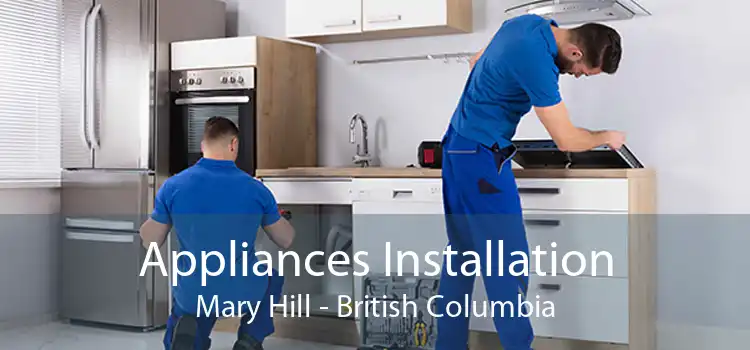 Appliances Installation Mary Hill - British Columbia