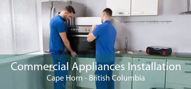 Commercial Appliances Installation Cape Horn - British Columbia