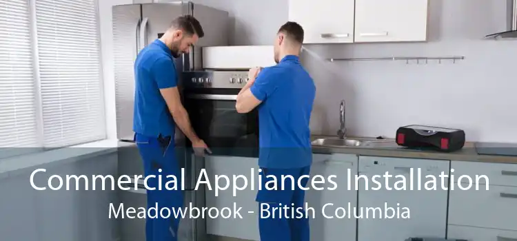 Commercial Appliances Installation Meadowbrook - British Columbia