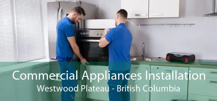 Commercial Appliances Installation Westwood Plateau - British Columbia