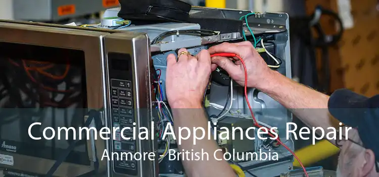 Commercial Appliances Repair Anmore - British Columbia