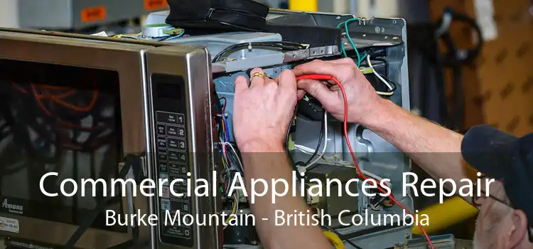 Commercial Appliances Repair Burke Mountain - British Columbia