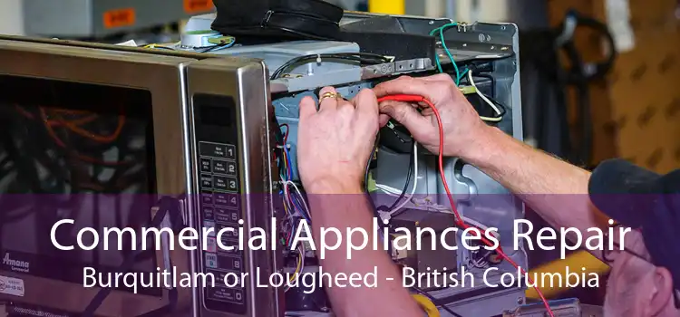 Commercial Appliances Repair Burquitlam or Lougheed - British Columbia