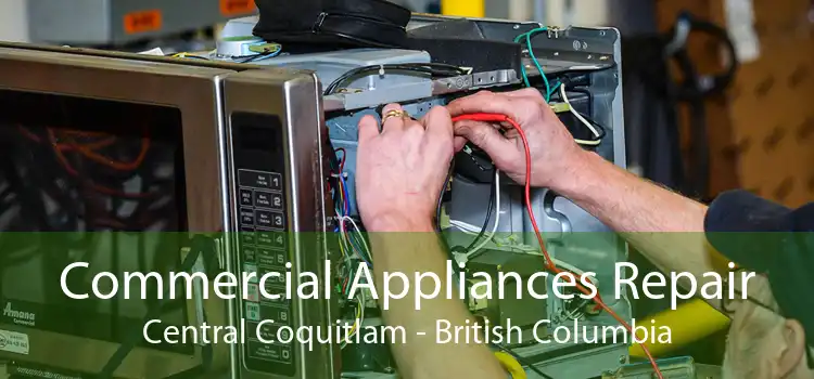 Commercial Appliances Repair Central Coquitlam - British Columbia