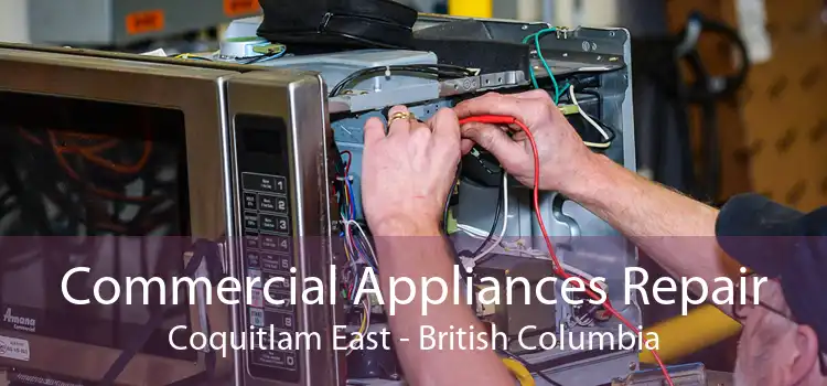 Commercial Appliances Repair Coquitlam East - British Columbia