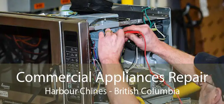 Commercial Appliances Repair Harbour Chines - British Columbia