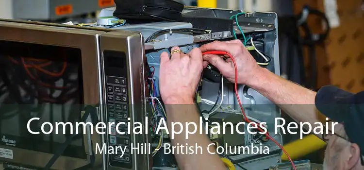 Commercial Appliances Repair Mary Hill - British Columbia