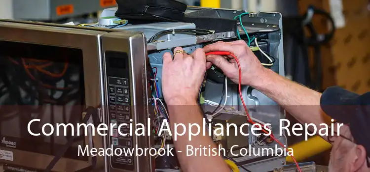 Commercial Appliances Repair Meadowbrook - British Columbia