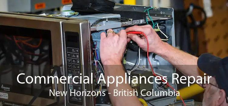 Commercial Appliances Repair New Horizons - British Columbia