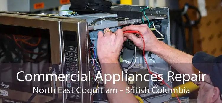 Commercial Appliances Repair North East Coquitlam - British Columbia