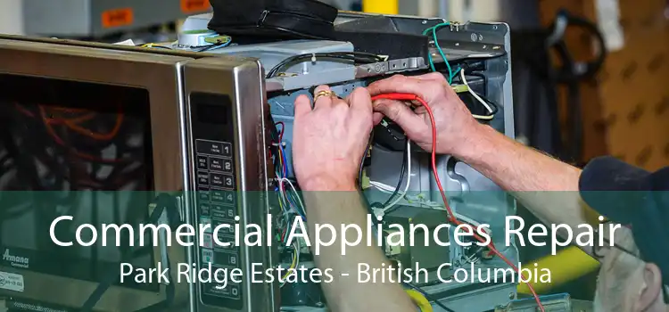 Commercial Appliances Repair Park Ridge Estates - British Columbia