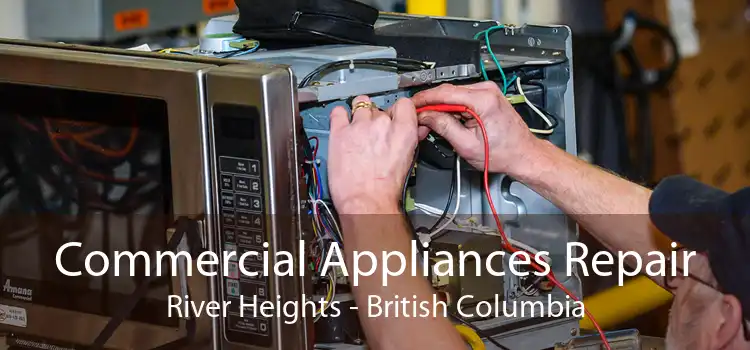 Commercial Appliances Repair River Heights - British Columbia