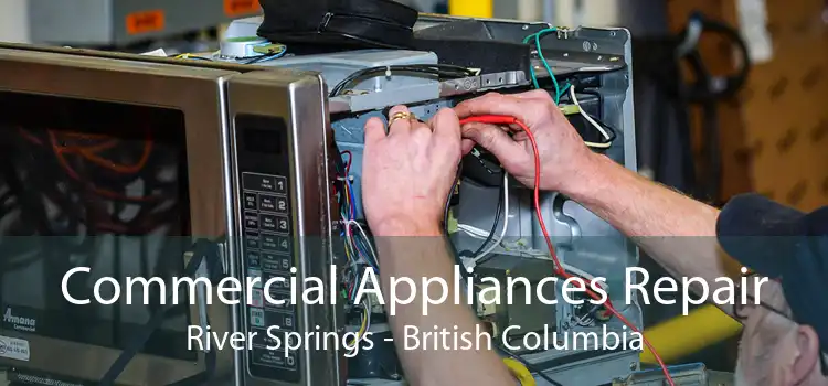 Commercial Appliances Repair River Springs - British Columbia