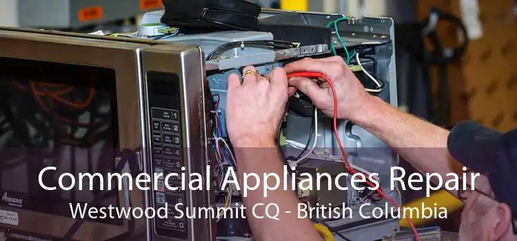 Commercial Appliances Repair Westwood Summit CQ - British Columbia