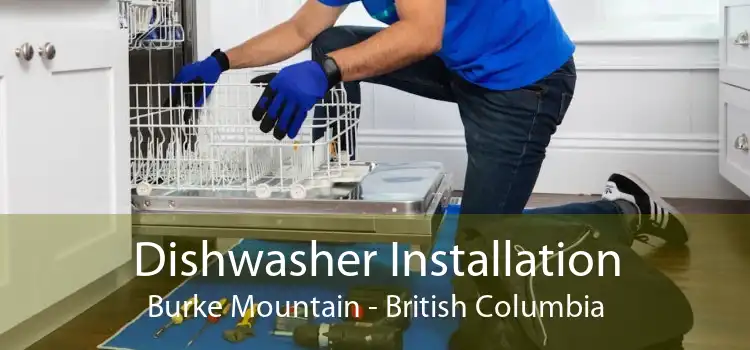 Dishwasher Installation Burke Mountain - British Columbia
