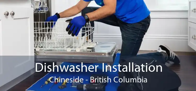 Dishwasher Installation Chineside - British Columbia