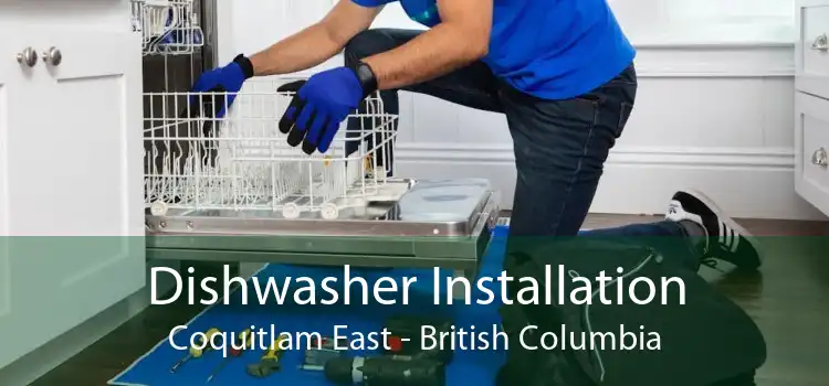 Dishwasher Installation Coquitlam East - British Columbia