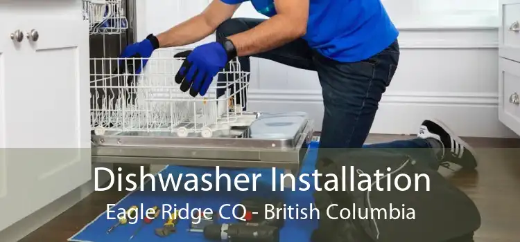 Dishwasher Installation Eagle Ridge CQ - British Columbia