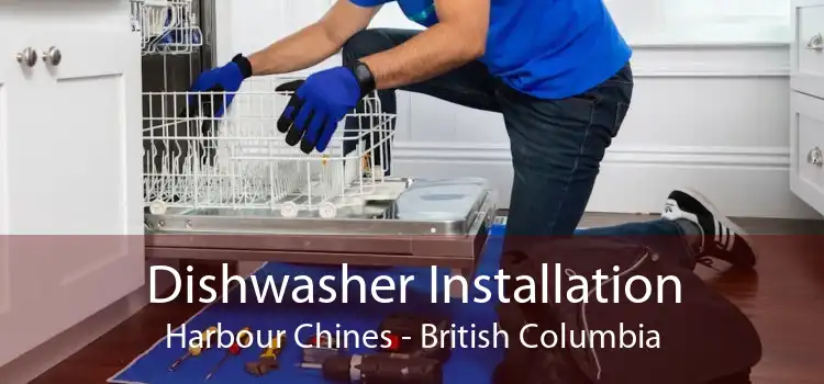 Dishwasher Installation Harbour Chines - British Columbia