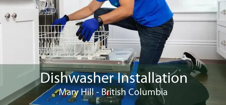 Dishwasher Installation Mary Hill - British Columbia