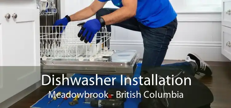 Dishwasher Installation Meadowbrook - British Columbia