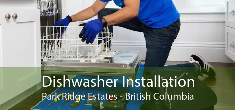 Dishwasher Installation Park Ridge Estates - British Columbia
