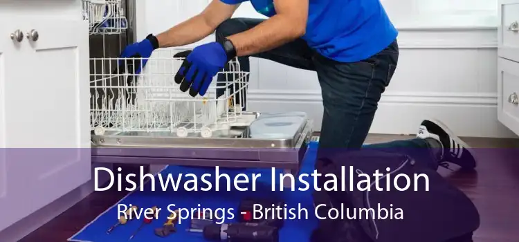 Dishwasher Installation River Springs - British Columbia