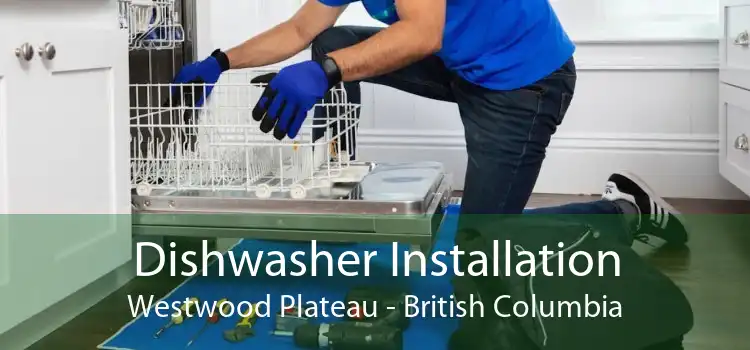 Dishwasher Installation Westwood Plateau - British Columbia