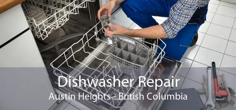 Dishwasher Repair Austin Heights - British Columbia