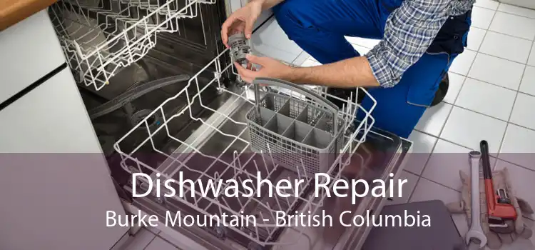 Dishwasher Repair Burke Mountain - British Columbia
