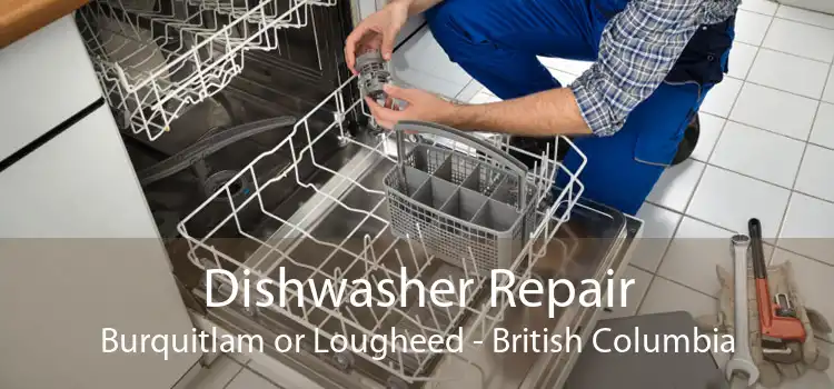 Dishwasher Repair Burquitlam or Lougheed - British Columbia