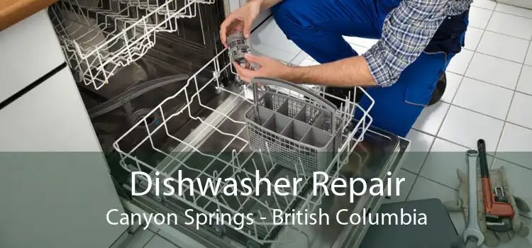 Dishwasher Repair Canyon Springs - British Columbia