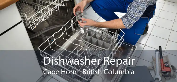 Dishwasher Repair Cape Horn - British Columbia