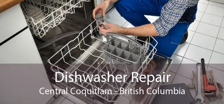 Dishwasher Repair Central Coquitlam - British Columbia