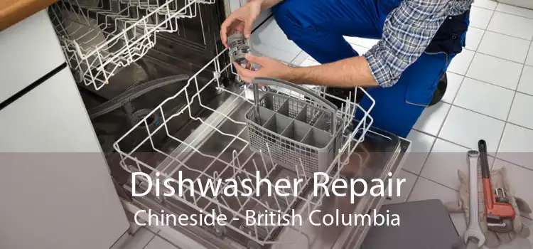 Dishwasher Repair Chineside - British Columbia