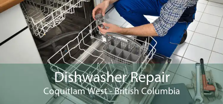 Dishwasher Repair Coquitlam West - British Columbia