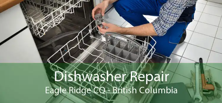 Dishwasher Repair Eagle Ridge CQ - British Columbia