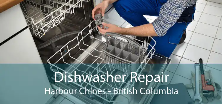 Dishwasher Repair Harbour Chines - British Columbia