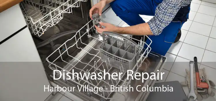 Dishwasher Repair Harbour Village - British Columbia