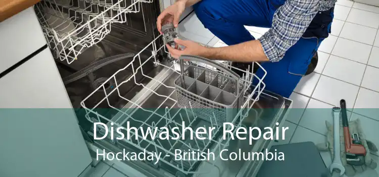 Dishwasher Repair Hockaday - British Columbia