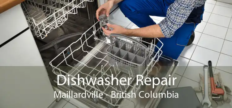 Dishwasher Repair Maillardville - British Columbia