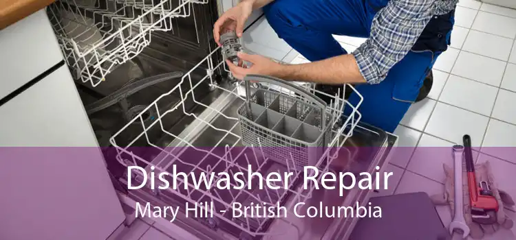 Dishwasher Repair Mary Hill - British Columbia