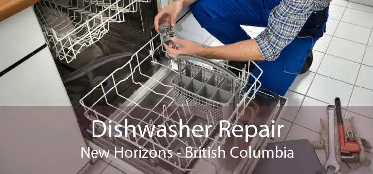 Dishwasher Repair New Horizons - British Columbia