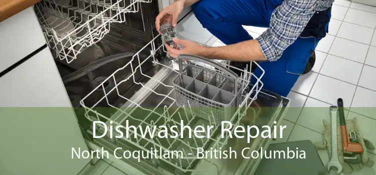 Dishwasher Repair North Coquitlam - British Columbia