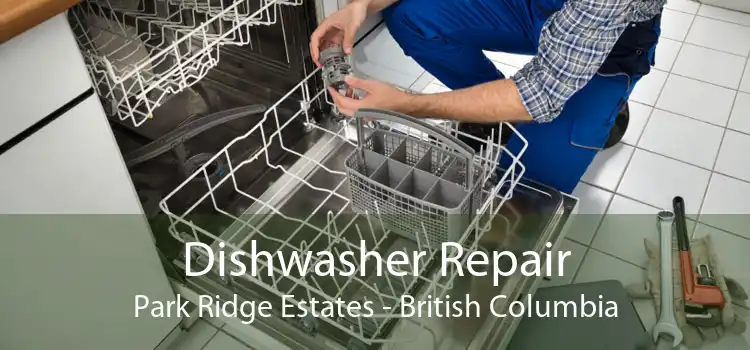 Dishwasher Repair Park Ridge Estates - British Columbia