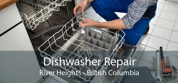 Dishwasher Repair River Heights - British Columbia