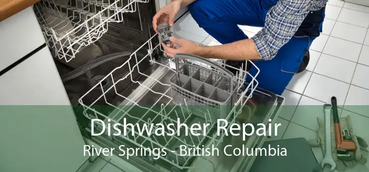 Dishwasher Repair River Springs - British Columbia
