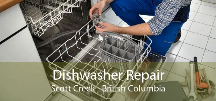 Dishwasher Repair Scott Creek - British Columbia